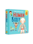 human body pop-up